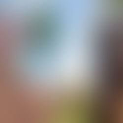 Mara Cifuentes: la modelo trans que rompió barreras en Colombia