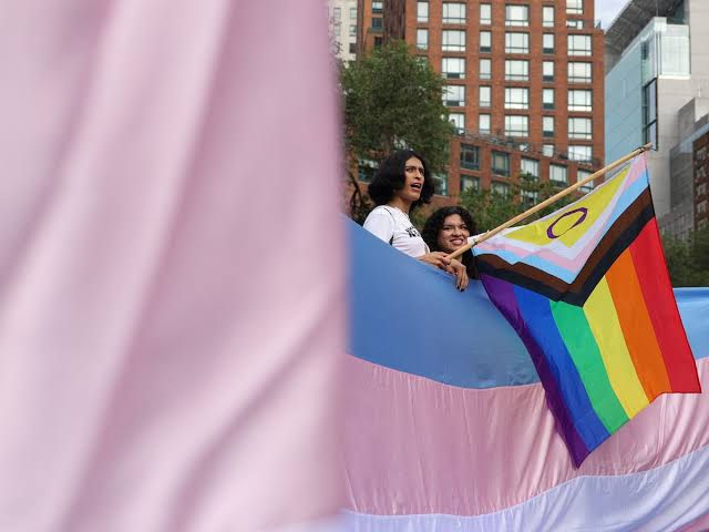 puerto rico comunidad trans amame trans mx