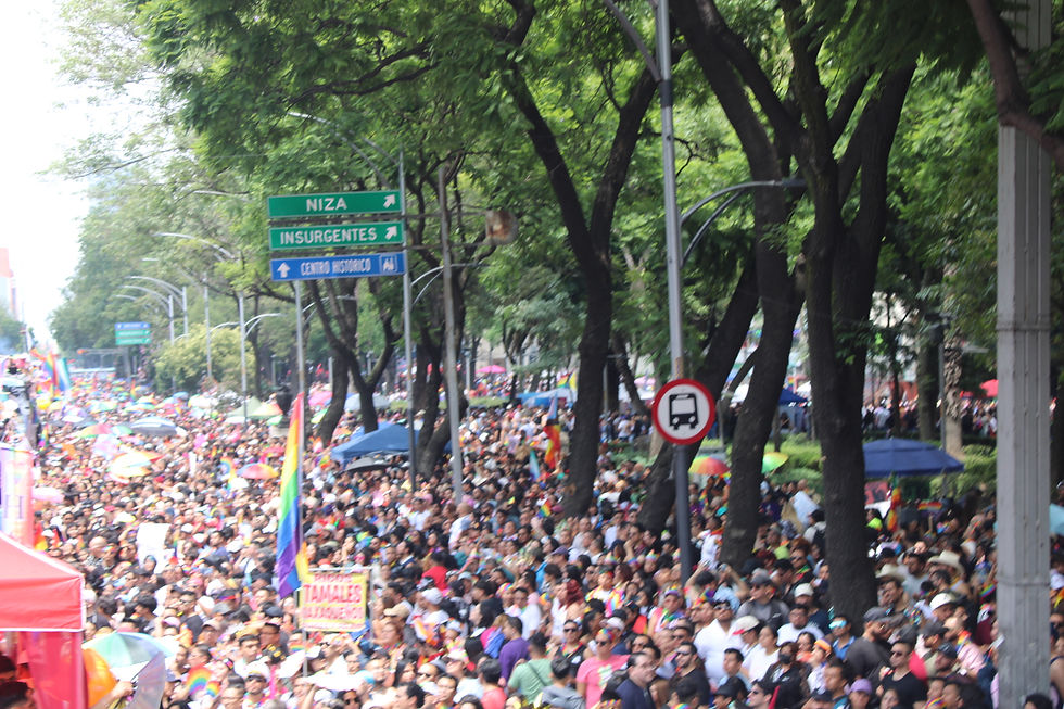 Marcha del orgullo CDMX ámame trans mx