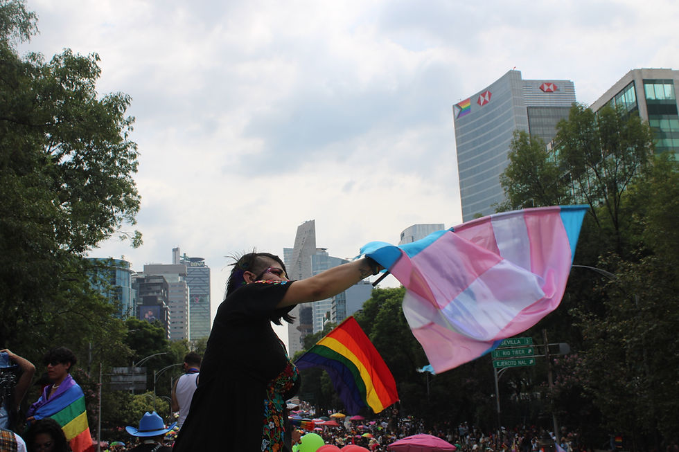 Marcha Lgbt cdmx amame trans mx