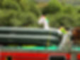 ree