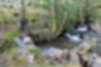 The draw lock into the mill race off Willan Beck.