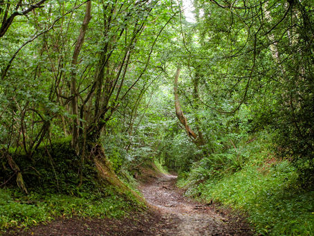 Old Sodbury to Stroud