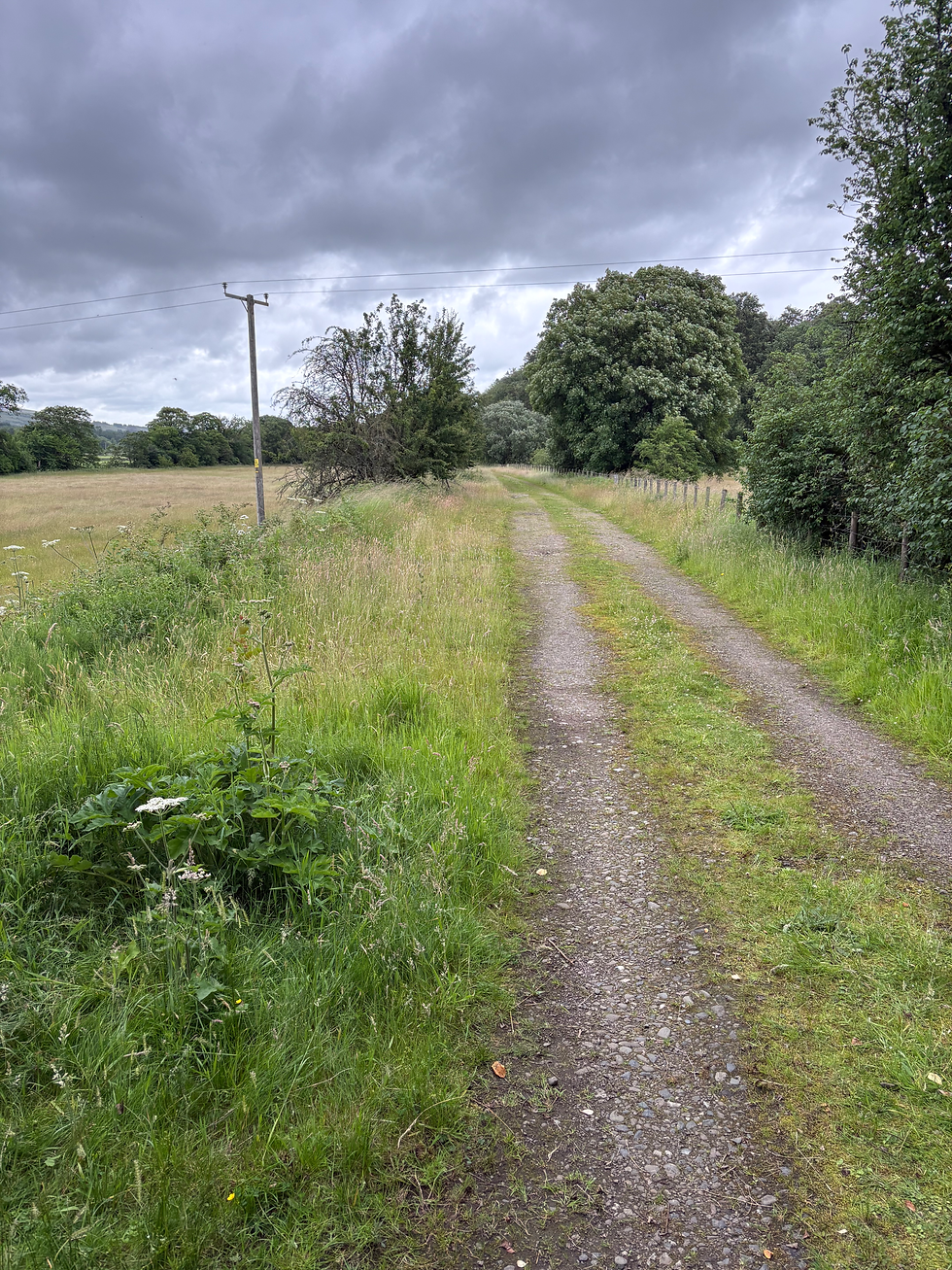 Trackbed of the historic Waverley Line.