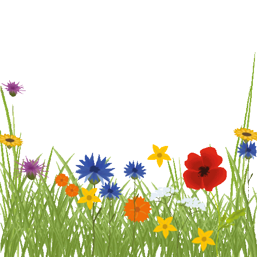 Flower Natura Sticker by Cukier Królewski - Find & Share on GIPHY.gif