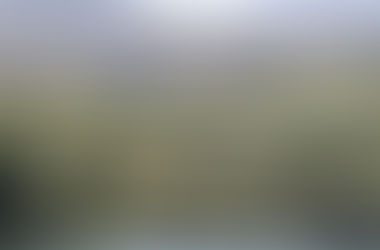 Dia Nacional da Sustentabilidade