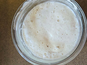 Maintaining and Feeding Your Sourdough Starter