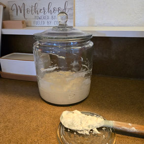 The Seasonal Starter: Navigating Florida’s Humidity and Heat