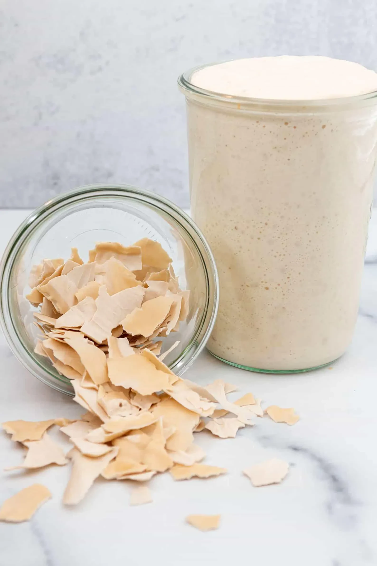 AUDREY | ORGANIC Dehydrated Sourdough Starter