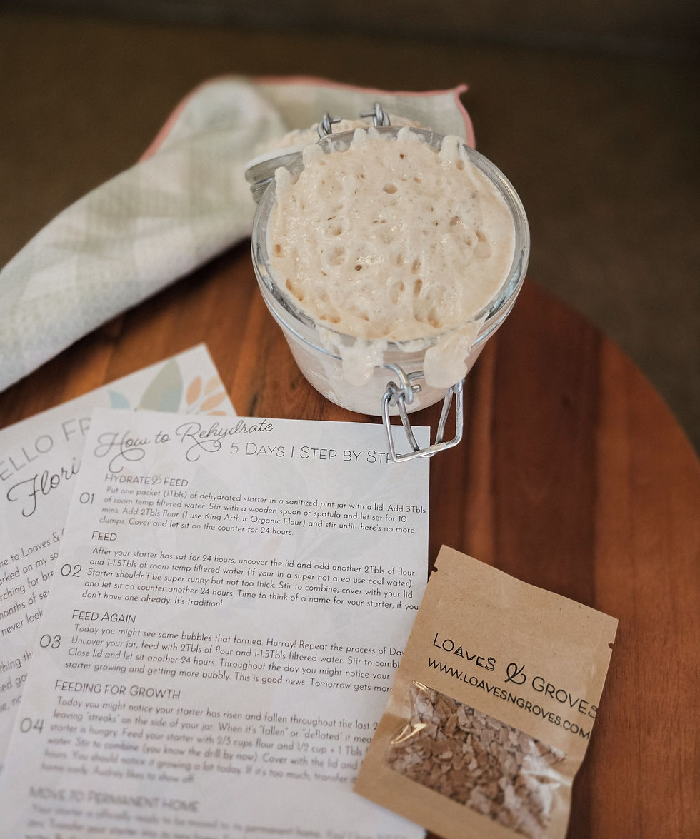 Passing the Torch: Sharing Your Sourdough Starter with Friends and Neighbors