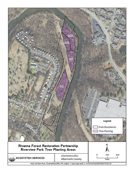 Riverview Park Tree Planting.jpg