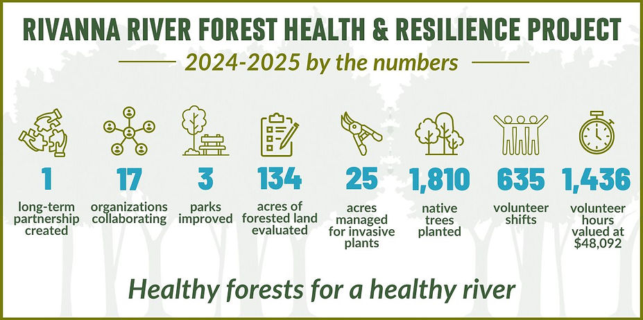 By the Numbers Infographic.jpg