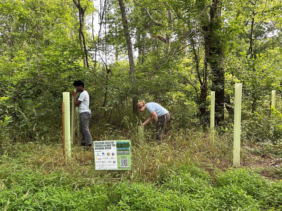 RCA: Tree Planting Workday at Darden Towe Park
