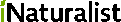 logo-small.gif