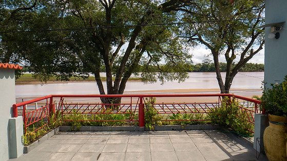 P1050764.jpg