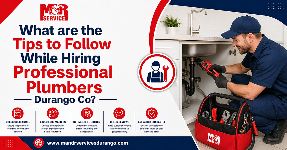 Professional Plumbers Durango