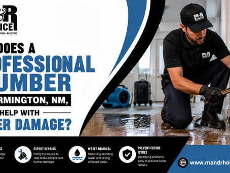 How Does a Professional Plumber in Farmington, NM, Help With Water Damage?