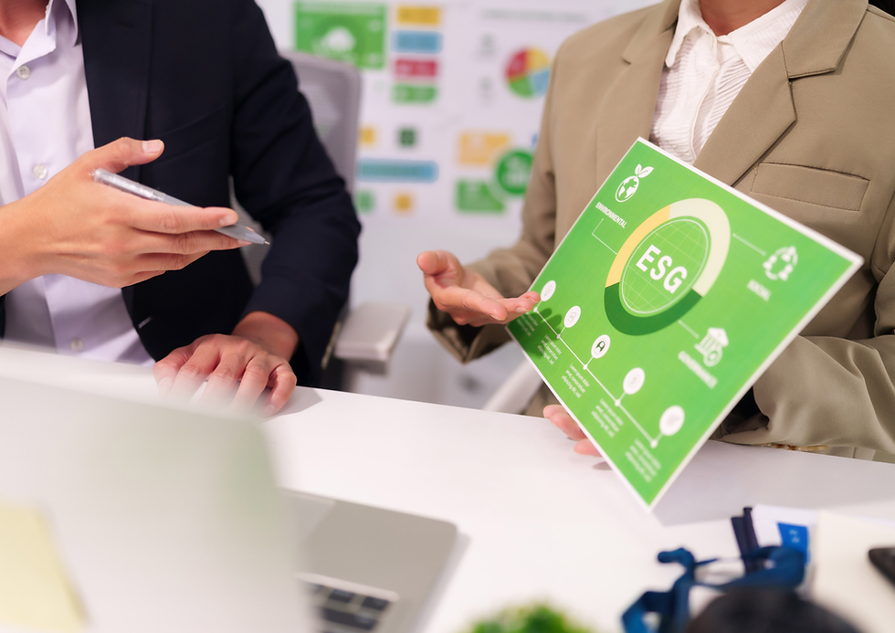 IIP EXECUTIVE MASTER SUSTAINABILITY MANAGER & SUSTAINABILITY PRACTITIONER - VII edition