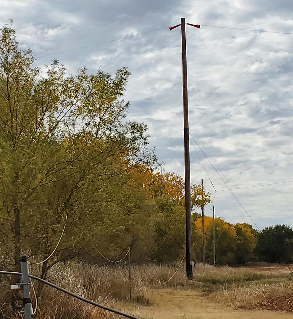 A view of just a few of K0UO rhombic 100 foot antenna supports at the world largest ham station (over 40 at time in use), this is a built for the Serious ham radio operator and ham contest participants, and DXers, Steve Walz is the engineers, how designed and built the 1200 acre antenna site and station