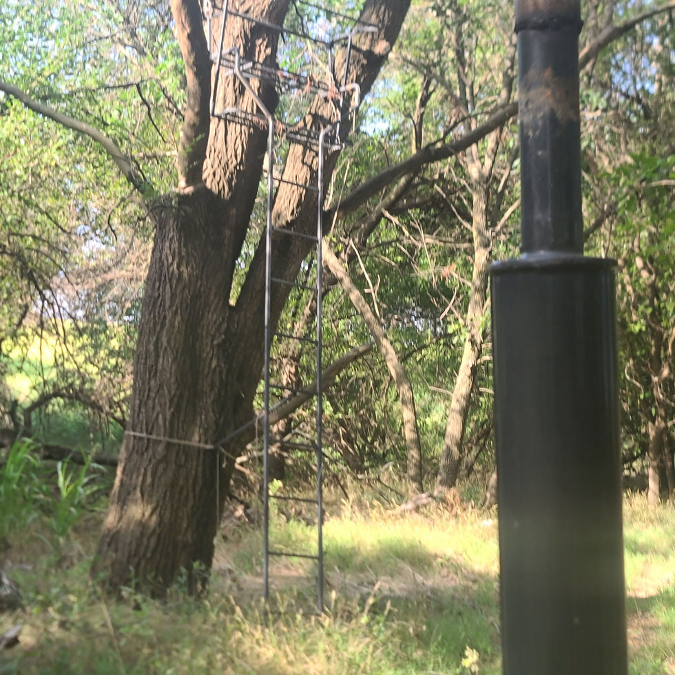 a deer stand for viewing wildlife along Little Mule cCeek just west the the Walz home site, part of the are where the Walz LLC Gillig and Diel famiily+34,000 ranch and farming partials both owned and leased are located