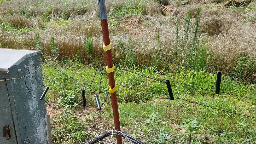 a real photo of some of K0UO open wire feed lines