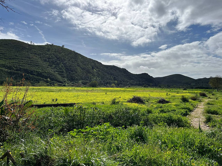 2024-03-18 11.13.52.jpg