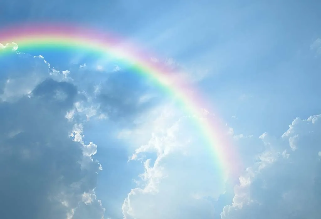 274343975-H-1024x700.webp