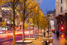 Программа озеленения Москвы в 2017 году