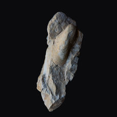 Fossils 1 30 on 30 cm black.jpg