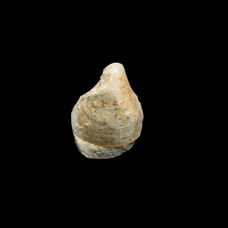Fossils 5 25 on 25 cm black.jpg