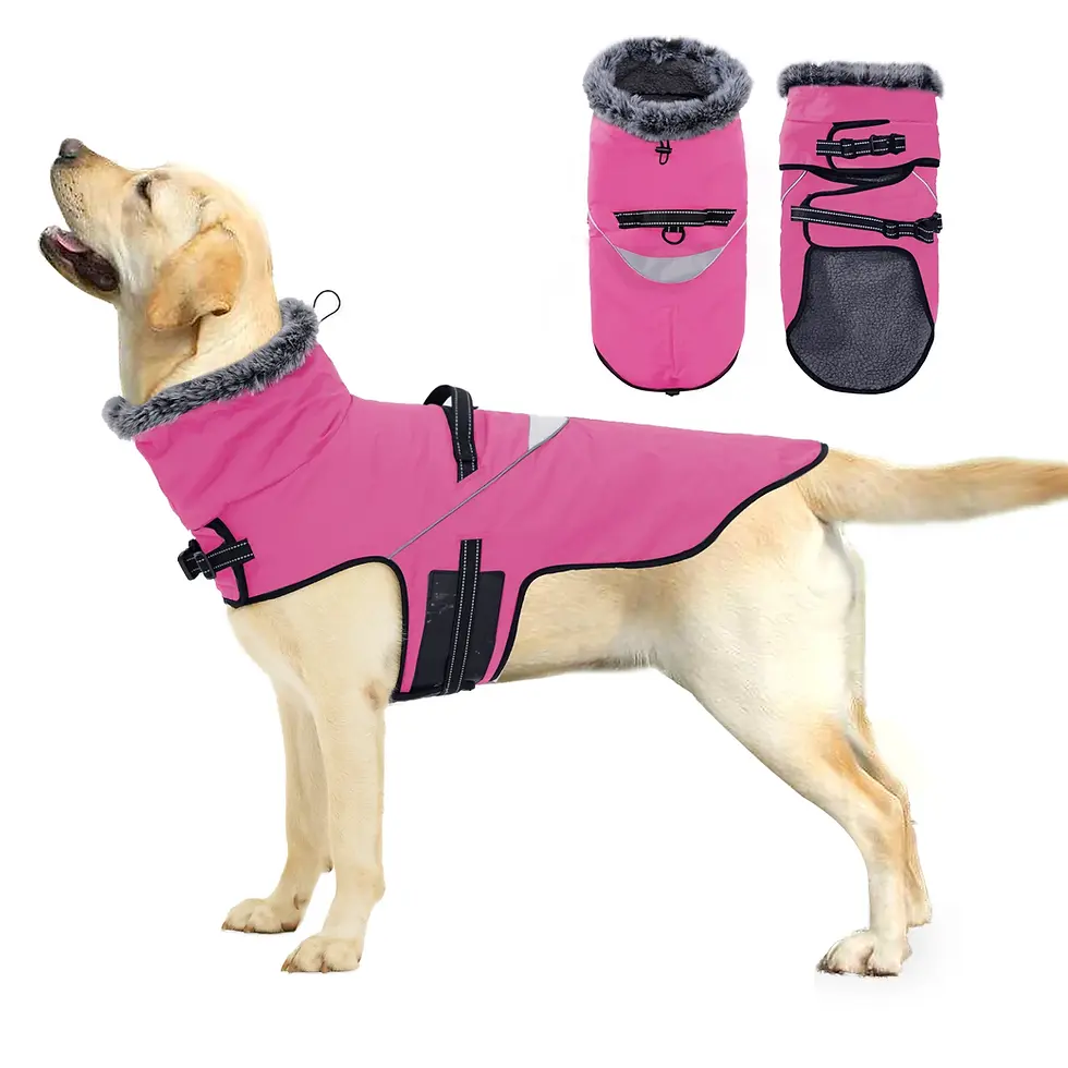 Thumbnail: Waterproof Fur Collar Jacket for Medium or Large Dogs