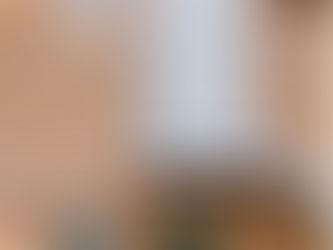 Casa in legno, stile e durabilità...in pillole.