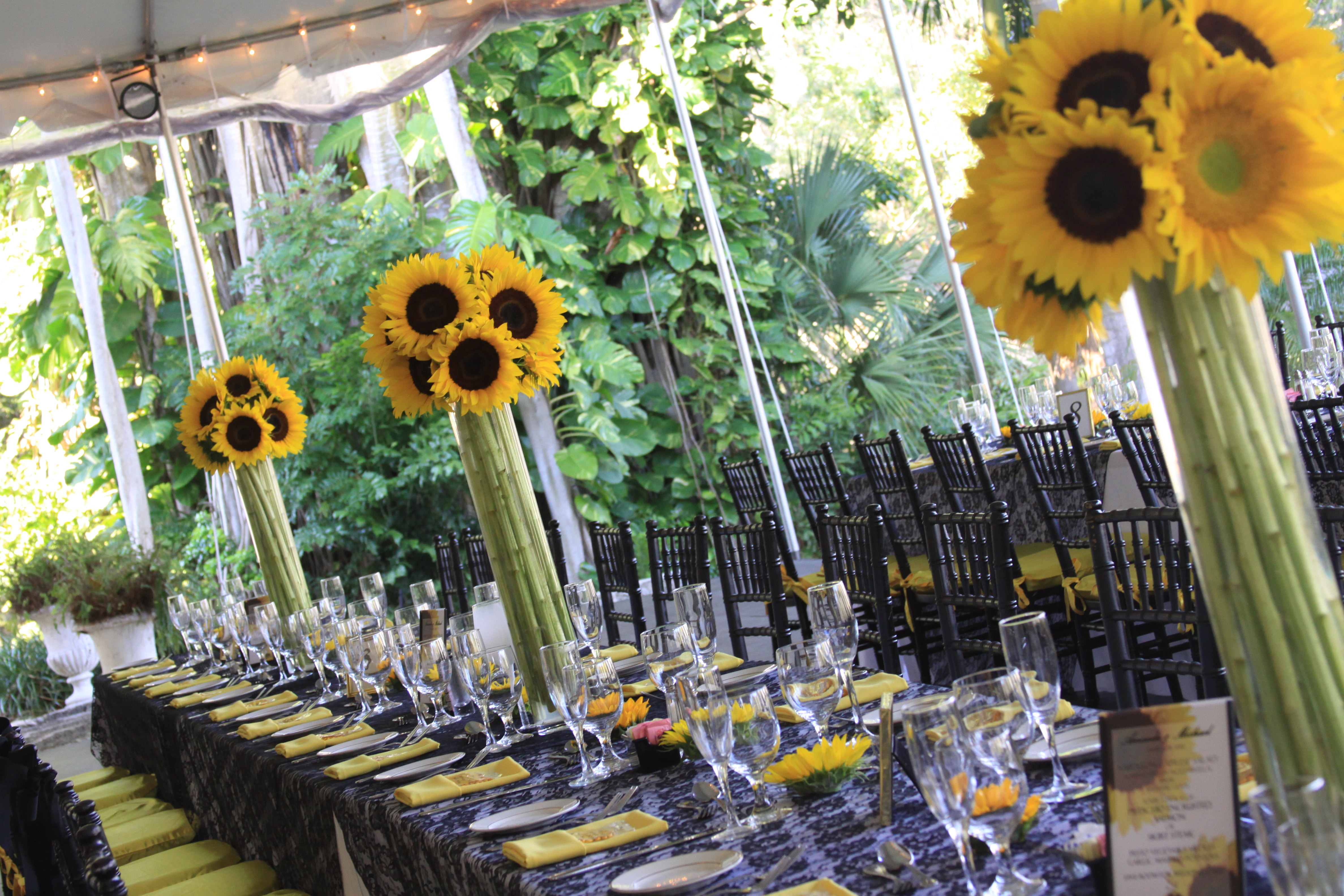 Soaring Sunflowers