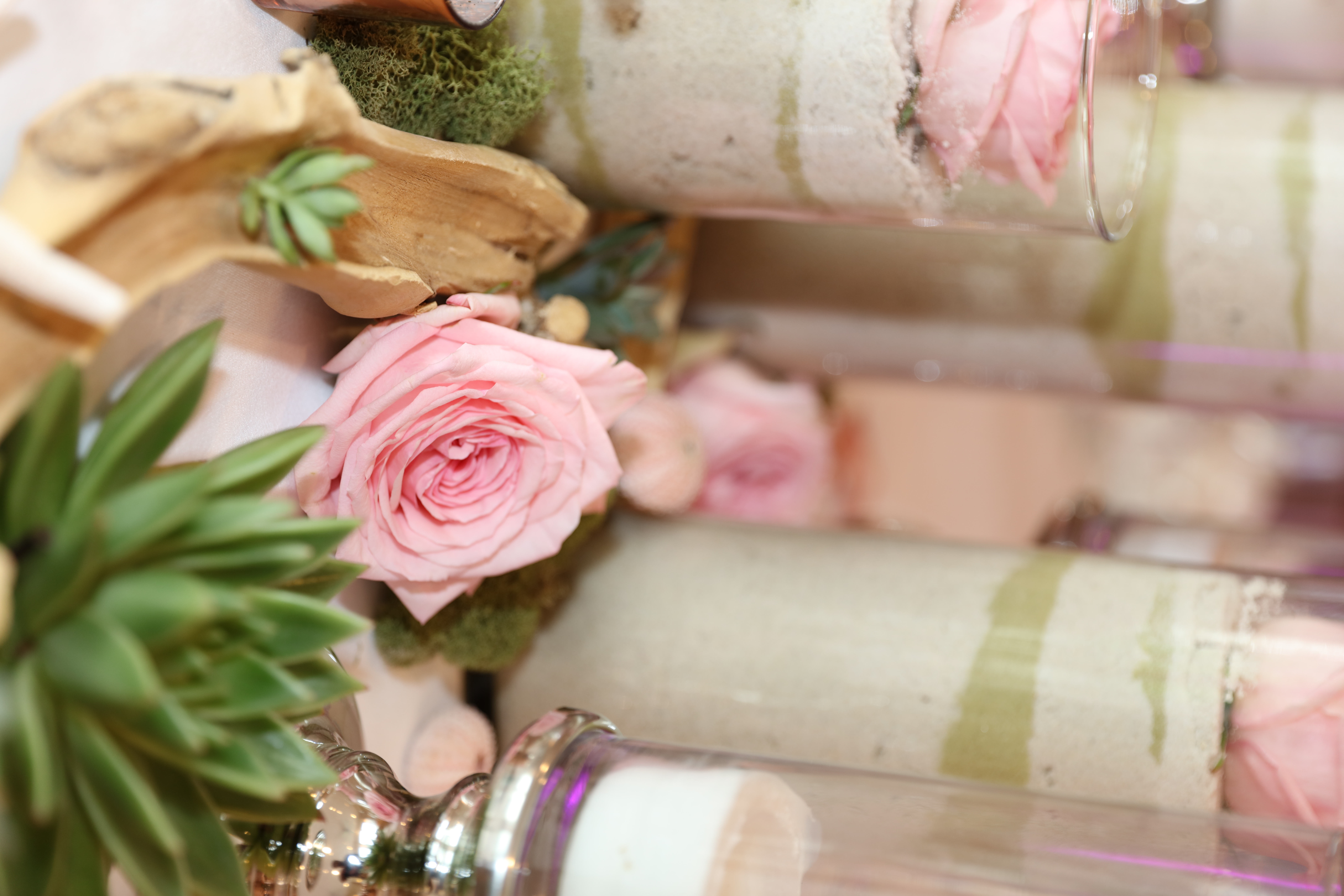 Sand, Garden Roses & Succulents