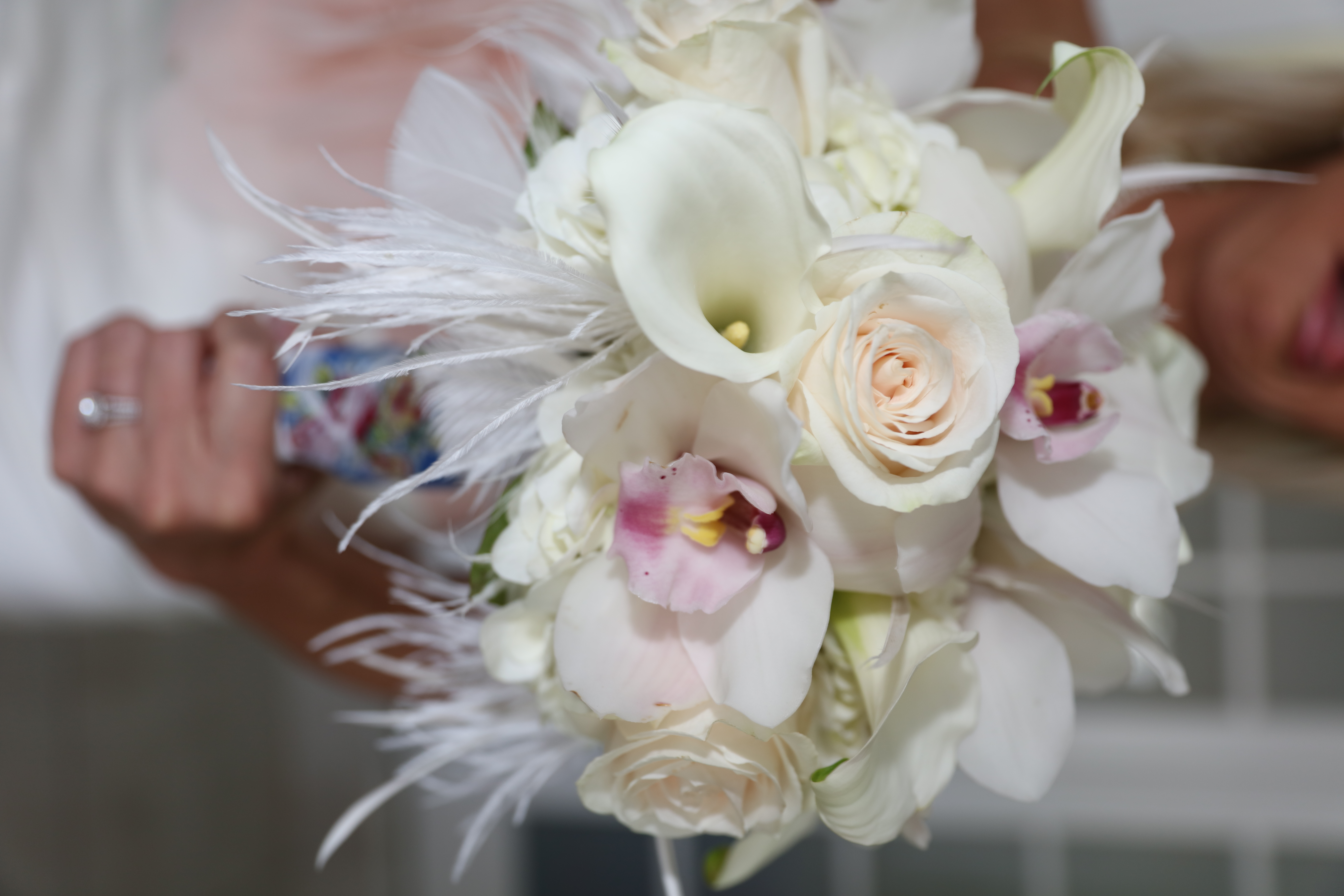 Bridal Delight
