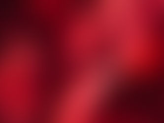 Obscenidad contrahegemónica