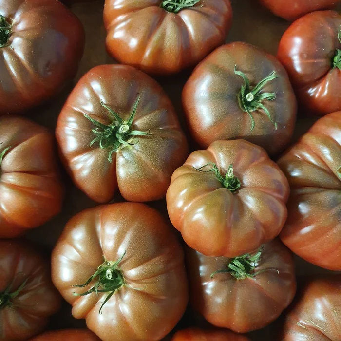 Tomate noire crimée (1kg)