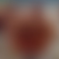 Muffin aux carottes et noisettes - sans gluten