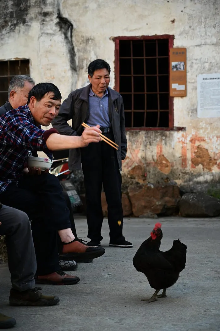 Shot by Holly Wang, Qinchuan Ancient Village, 2022