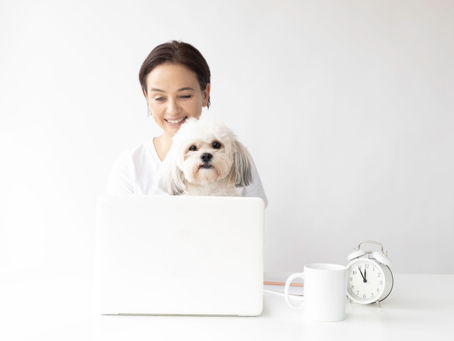 The Unspoken Side of Pet Care: Vaccinations, Disease Prevention, and Emergency Preparedness