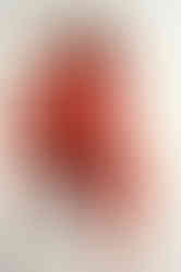 LOOK 019_3548