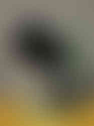 MattiaGuolo_MARNIKIDS_040_1945