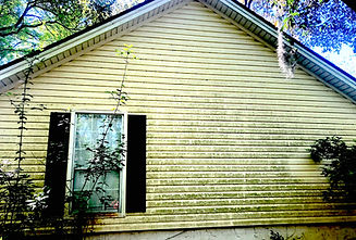House before.jpeg