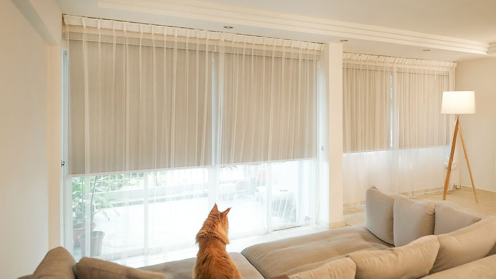 Weffort Motorized Roller Shades for Smart Homes