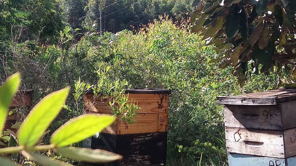 ITAMARANDIBA MG EUC 3