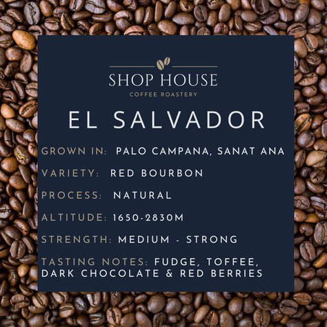New Year, New Coffee... Hello El Salvador!