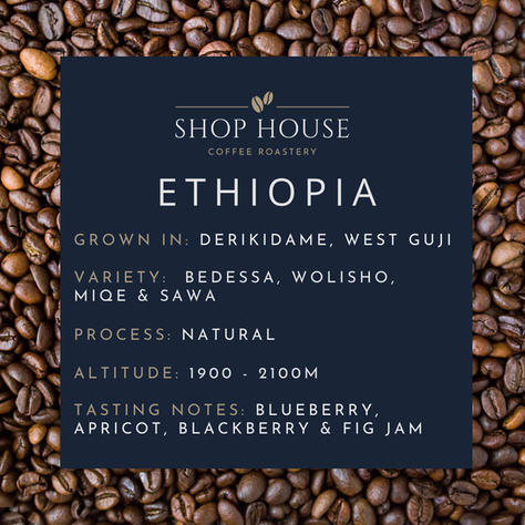 Ethiopia - West Guji