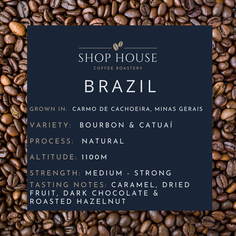 Brazil - Fazenda Salto IMPACT Coffee Farm