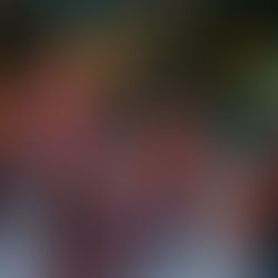 Marketing's Latest 11/13/2023