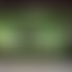 Marketing's Latest 11/6/2023